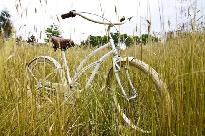 Rower cruiser Rower cruiser